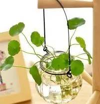 花小钱办大事为客厅“整容”的11件物品