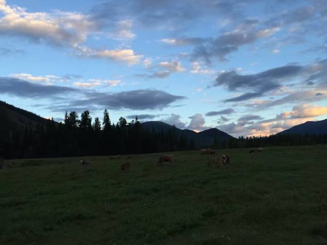 海马s5试驾越野,试驾海马s5