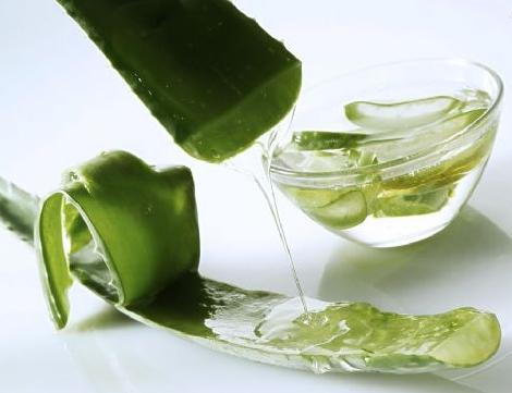 芦荟调整皮肤暗黄淡斑的配方 (芦荟胶加牛奶敷脸能淡斑吗)