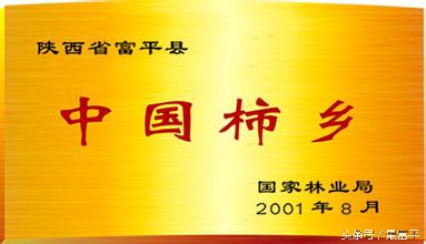 富平富四方醋饮咋样,富平县曹村镇柿子行情