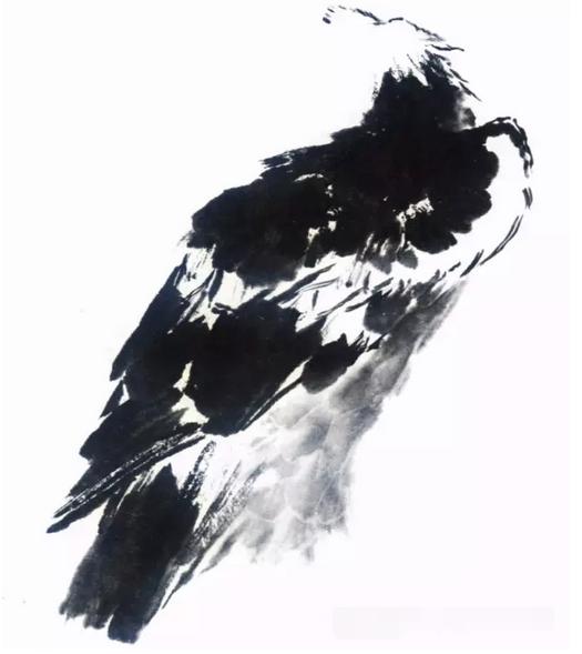 国画之鹰作品大全大图,国画大写意鹰图片大全