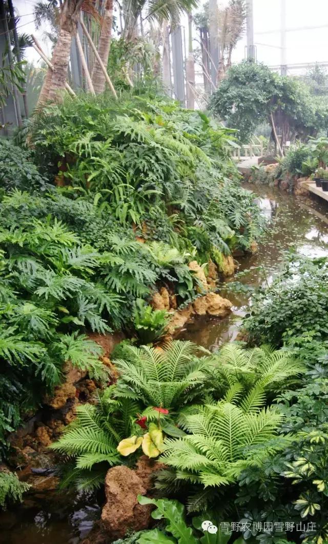 感恩教师节景区活动,感恩教师节门票优惠政策