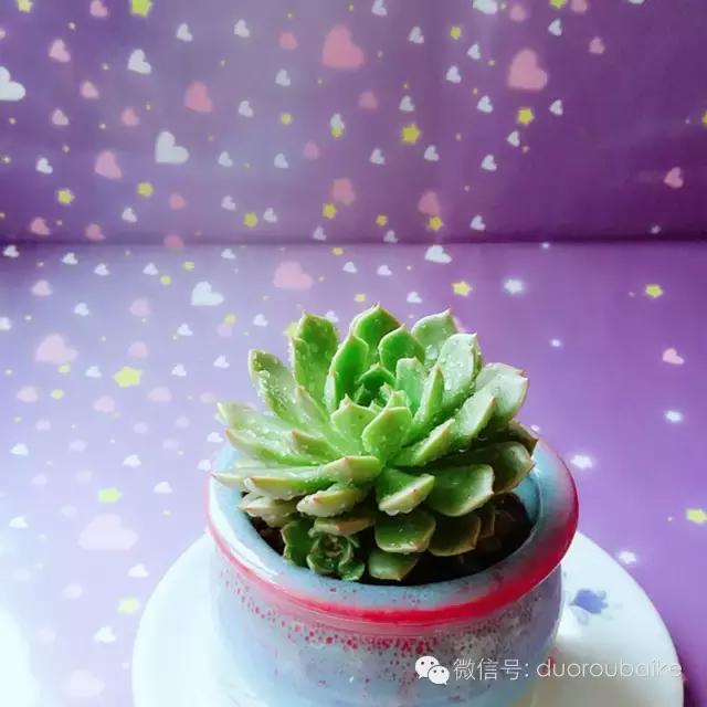 入坑就不能自拔,入坑后无法自拔