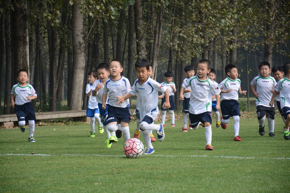 足球河南建业vs长春,足球河南建业