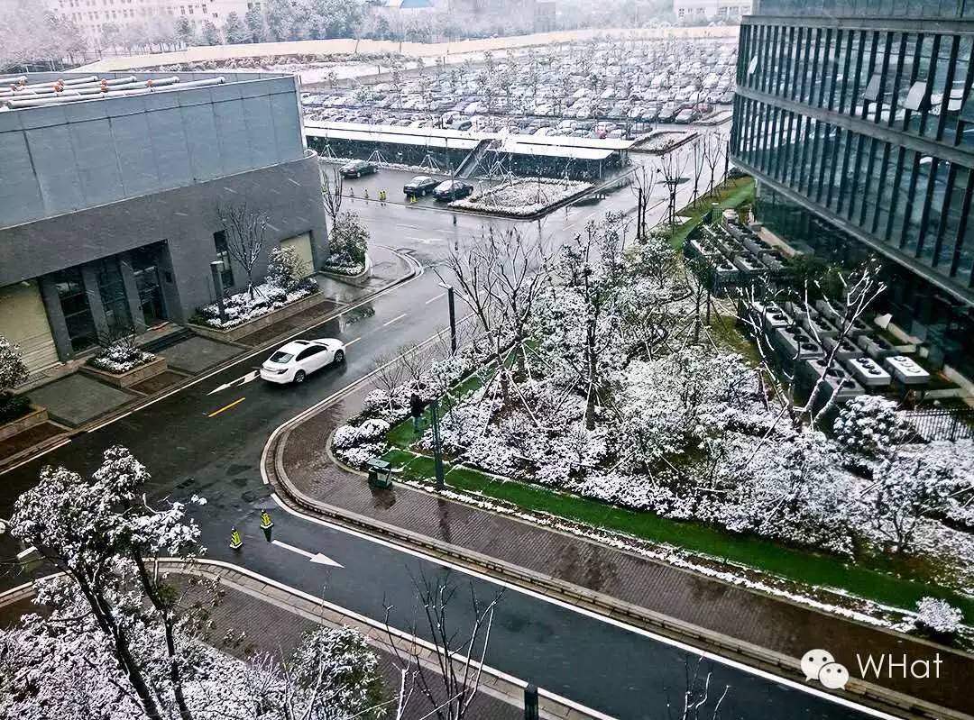 武汉只下一天雪吗,武汉下的是雪吗