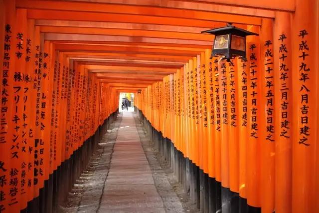 期待已久的日本之行,7天日本之旅圆满结束