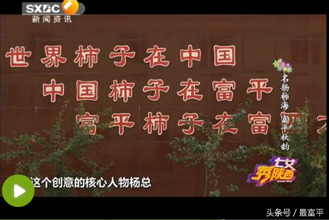 富平富四方醋饮咋样,富平县曹村镇柿子行情