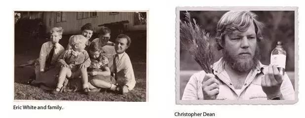 澳洲星期四茶树精油祛痘霜 (澳洲星期四精油祛痘)