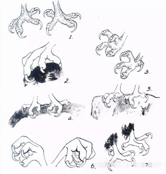 国画之鹰作品大全大图,国画大写意鹰图片大全