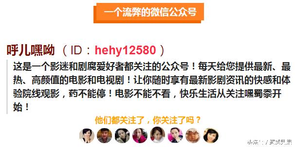 一口气看完谍战系列电视剧麻雀,麻雀李易峰唯祖国与信仰不可辜负