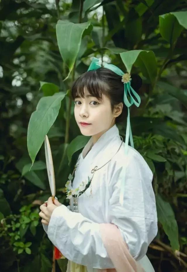 汉服之美谓之华作文,汉服之美的文章