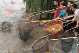 大师：你的手掌很大，因为越掌大越孤单