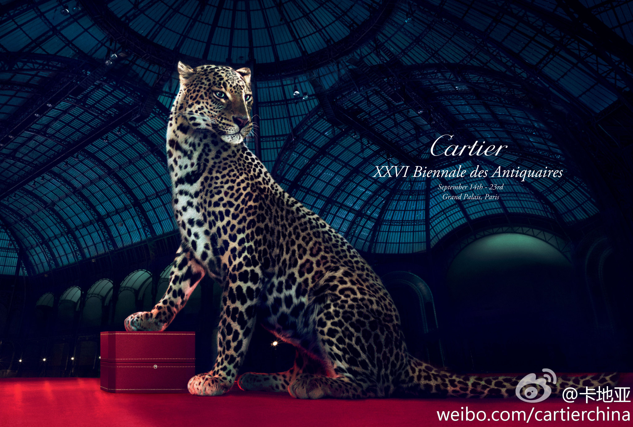 奢奢哒|看着这些大牌的产品，仿佛进了动物园......