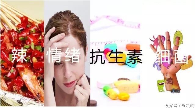 你知道吗？重庆人的肠道年龄普遍偏老！