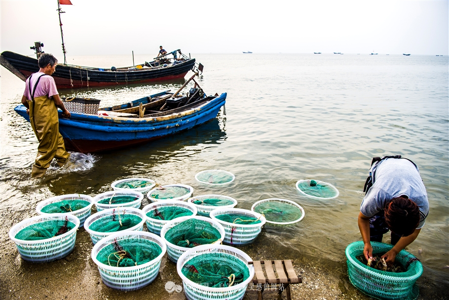 兴城亲子,兴城亲子攻略