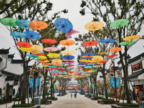 合肥青年旅游团,合肥旅游团迪士尼