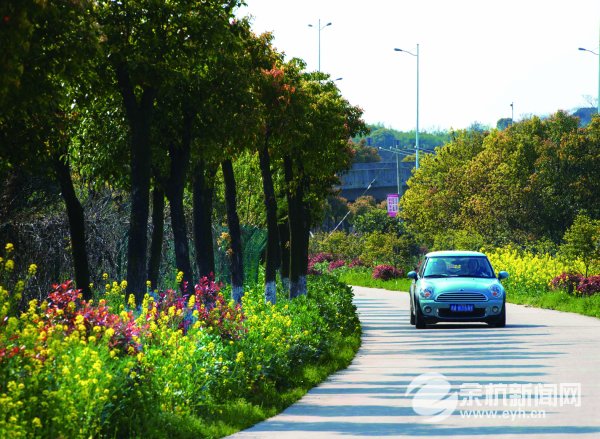 崇贤建融家园怎么样,崇贤规划大型综合体