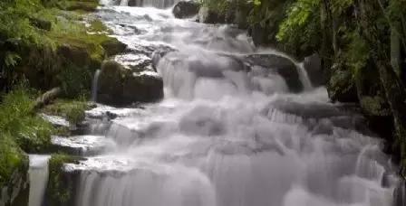仙女山国家森林公园最美景色,仙峰国家森林公园千年红豆杉景区