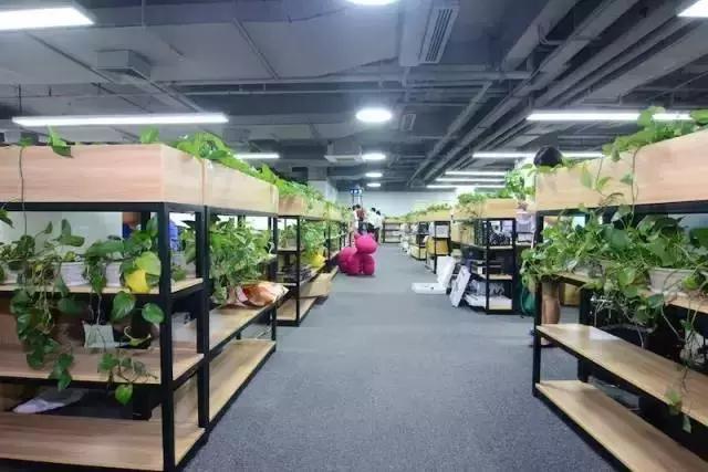 深圳有哪些工资待遇比较好的厂,深圳工资高的公司有哪些