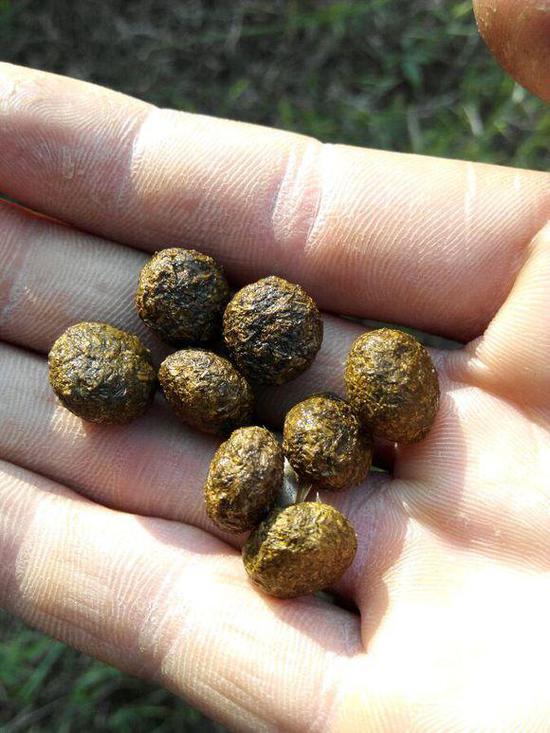 千杯不醉的正确解酒方法,养胃解酒的正确方法