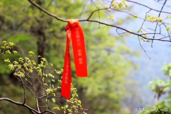 天目山必去八个景点,天目山必去三大景点