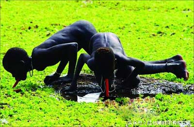 蚂蟥进入鸡的体内能成活吗,蚂蟥捕食蚯蚓