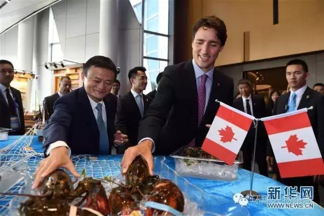 有没有卖龙虾的,有卖龙虾的吗