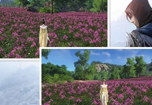 天涯明月刀节日福利,天涯明月刀通用礼包大全