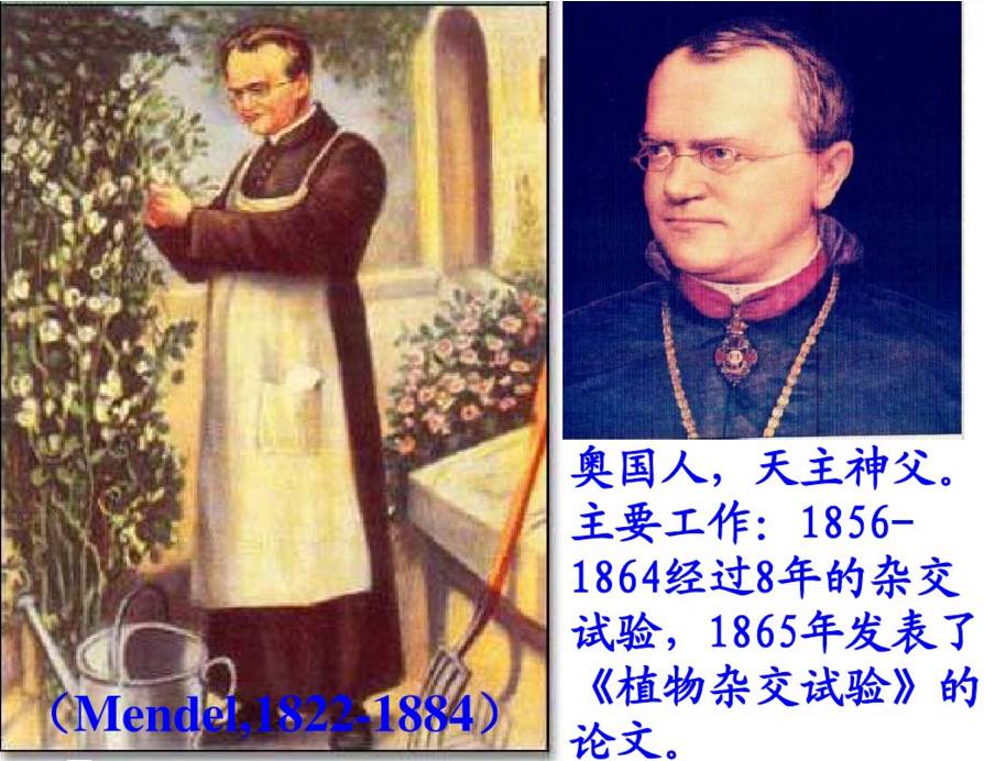 王宝强带孩子做亲子鉴定结果如何,马蓉和王宝强孩子做过亲子鉴定吗