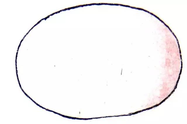 画在唐卡上的医书，令人惊叹！