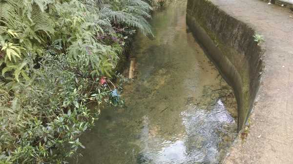 南昆山哪里好玩,惠州龙门南昆山