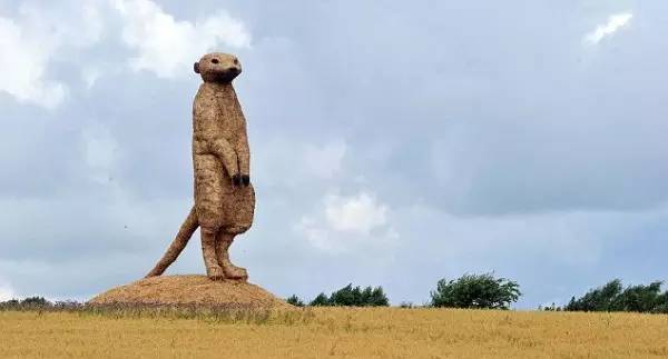 稻草堆也是风景,稻草堆弄成柴火