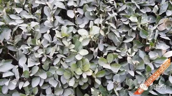 三星a72016功能介绍,三星a72016款