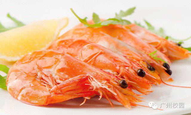 广东人常被问的问题,各省同学被问的奇葩问题