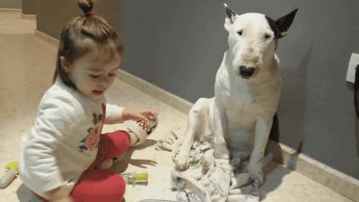 春暖花开要预防过敏性皮肤疾病,春暖花开一定要小心四种虫