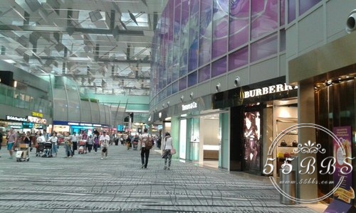 新加坡免税店化妆品攻略,新加坡机场免税店美容仪