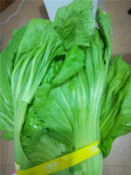 煮泡面好吃的方法,泡面怎么煮更好吃学生版