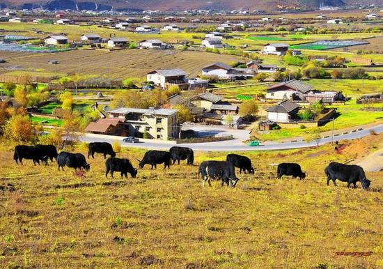 云南景区门票名单,云南大理景区免门票
