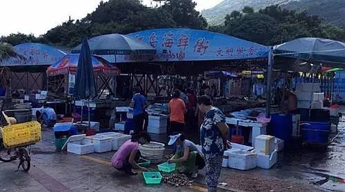 外伶仃岛岸边钓点,外伶仃岛钓鱿鱼钓点