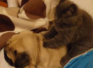 种草|剁手*党**欧尼最近又败了啥？