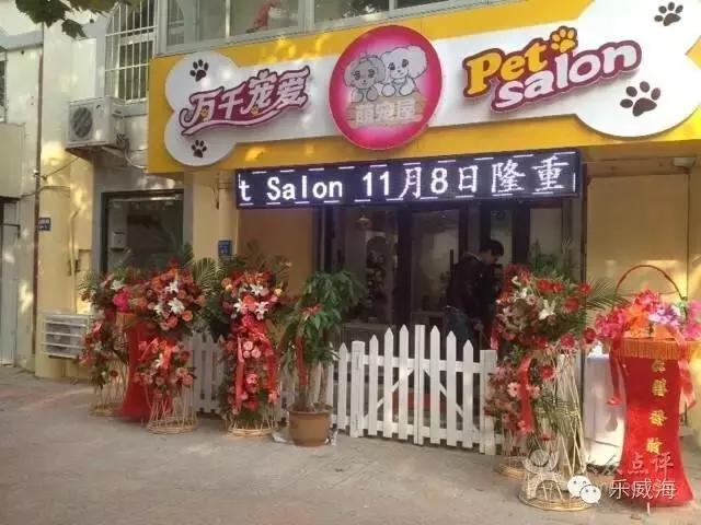 威海最全的宠物店汇总!喵奴汪主人还不速速收藏!