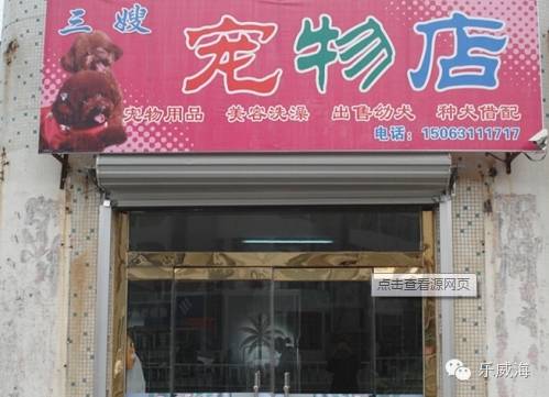 威海最全的宠物店汇总!喵奴汪主人还不速速收藏!