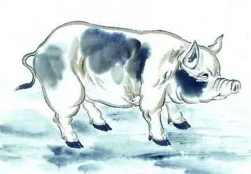 属猪的出生年月日时辰解释,属猪的出生在猴的时辰好吗