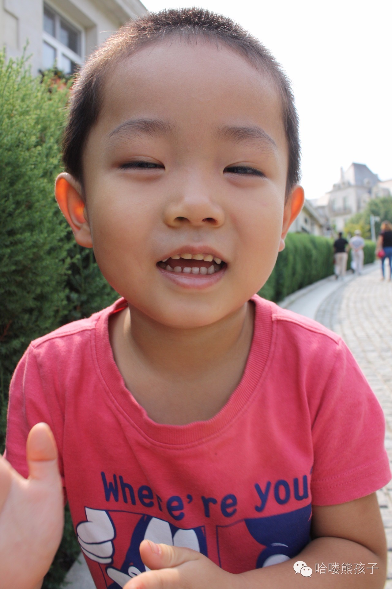 滚蛋吧耐药菌,滚蛋吧拖延症