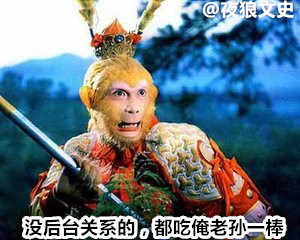 诸神坐骑下凡大比拼,要在凡间混关键还得看背景