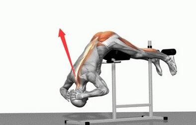 足球运动项目常见运动损伤分析,足球运动中常见的伤病