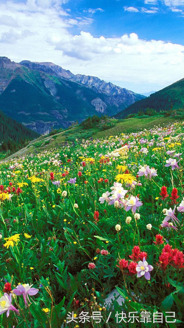 dv氛围感视频拍摄教程,怎样让dv摄影机拍摄更清楚