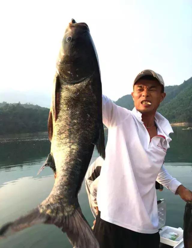 《渔获战报》黑坑之王在此，江湖没有之一