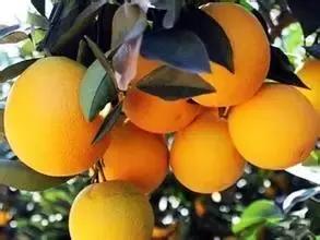 我眼中的中国原版视频,我眼中的中国原唱