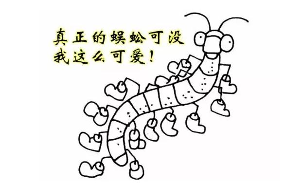 治疗痔疮厕纸,英国怎么治痔疮